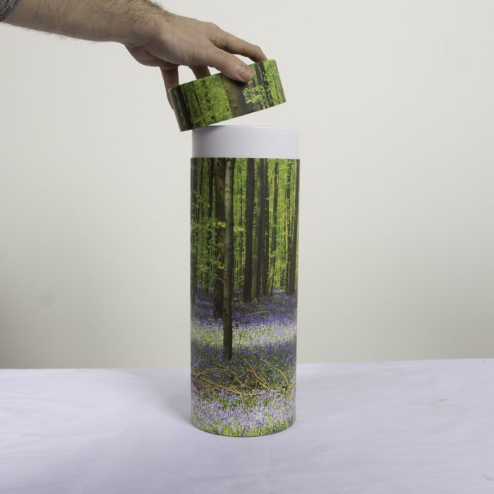 Bluebell Wood Scatter Tube - Image 3