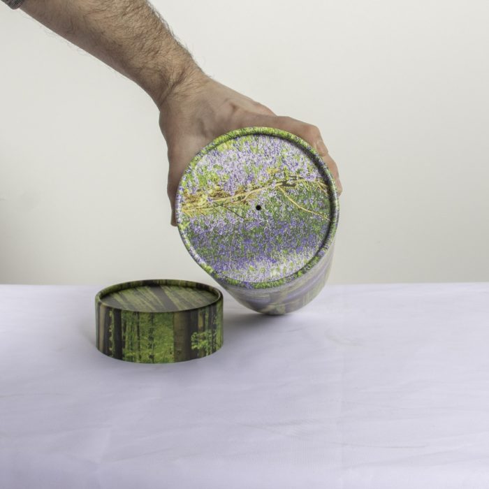 Bluebell Wood Scatter Tube - Image 6