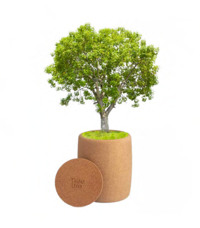 tree-urn-sustainable-eco-friendly-nature-urn