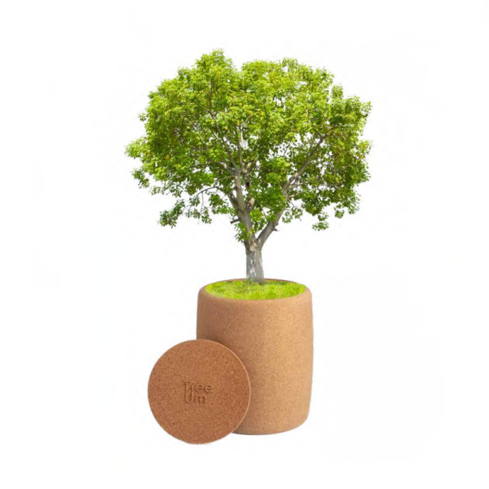 tree-urn-sustainable-eco-friendly-nature-urn